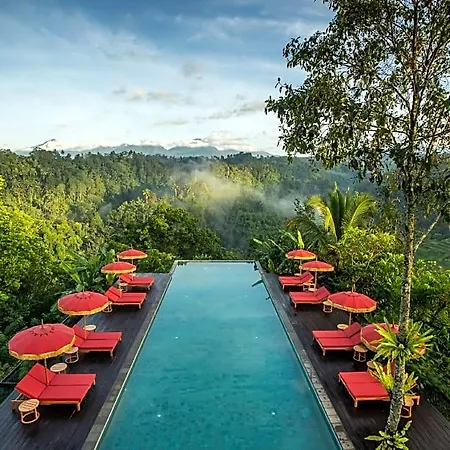 Buahan, A Banyan Tree Escape