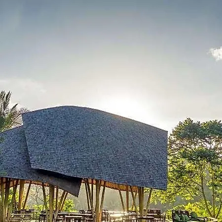 Buahan, A Banyan Tree Escape