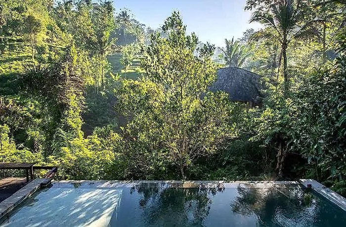 Buahan, A Banyan Tree Escape