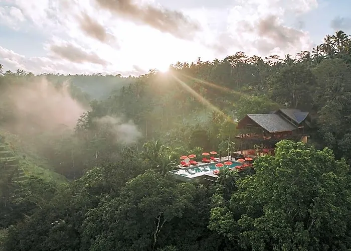 Buahan, A Banyan Tree Escape