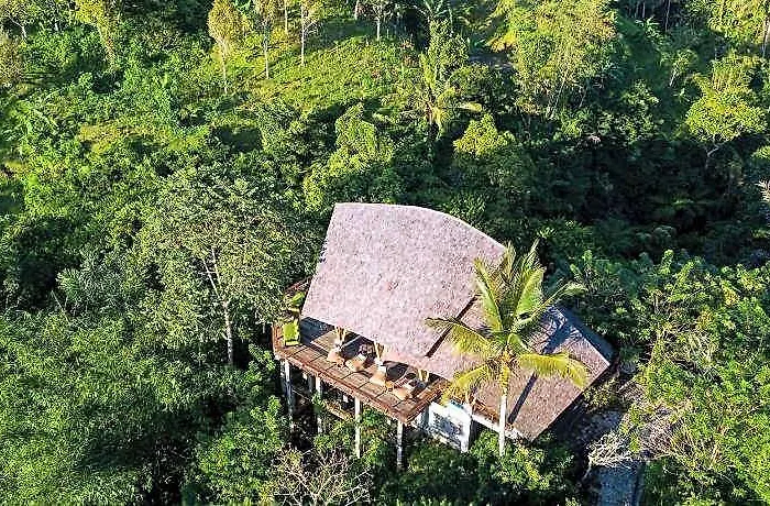 Buahan, A Banyan Tree Escape