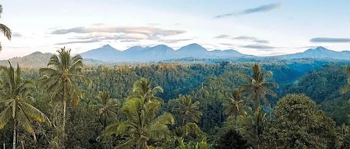 Hotel Buahan, A Banyan Tree Escape BALI